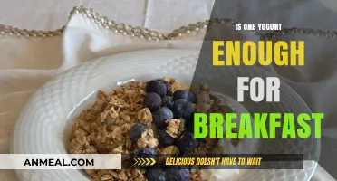 Is One Yogurt Enough for Breakfast? Nutrition Facts and Tips