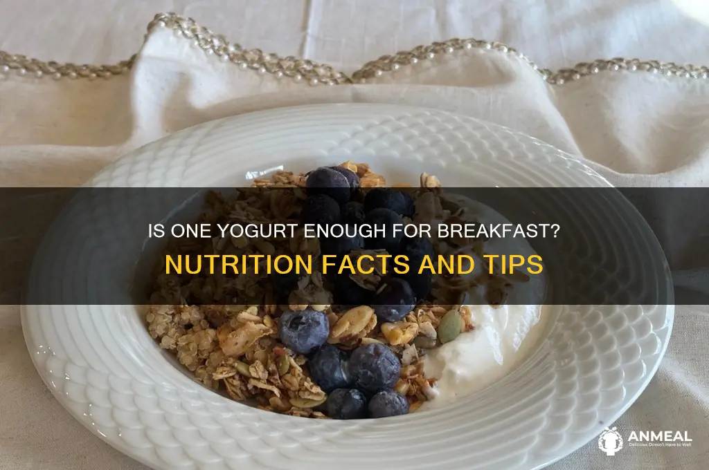 is one yogurt enough for breakfast