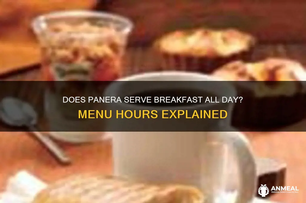 is panera breakfast all day