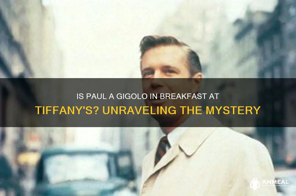 is paul a gigolo in breakfast at tiffany