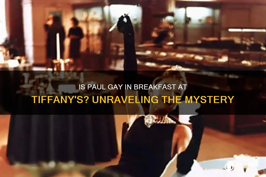 is paul gay in breakfast at tiffany