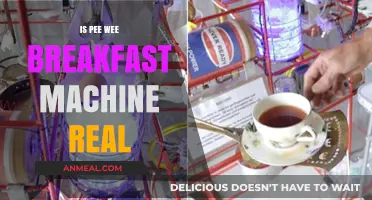 Is the Pee-wee's Playhouse Breakfast Machine a Real Invention?