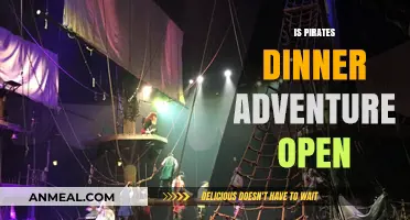Is Pirates Dinner Adventure Open? Current Status and Updates