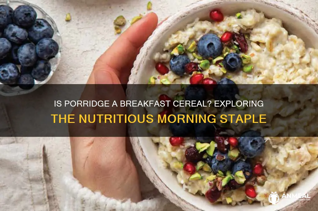 is porridge a breakfast cereal