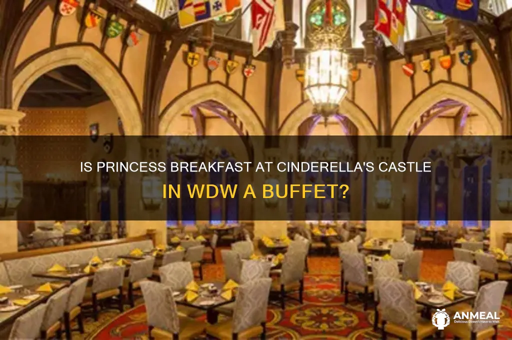 is princess breakfast castle wdw a buffet