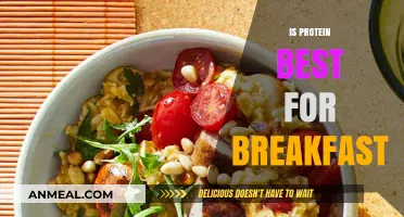 Protein for Breakfast: Is It the Ideal Morning Fuel?
