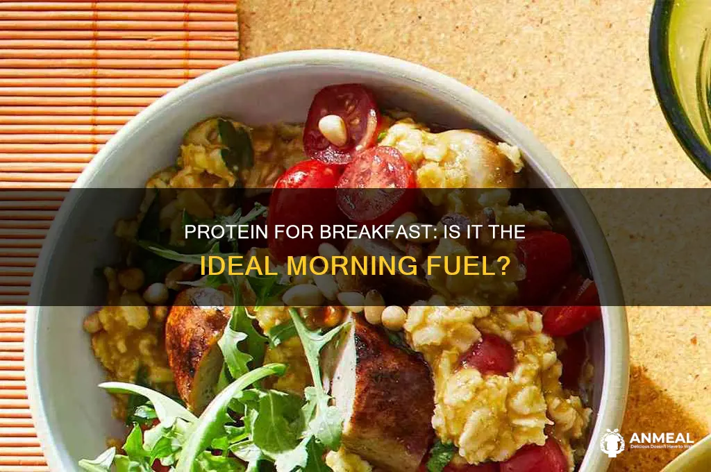 is protein best for breakfast