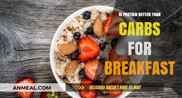 Protein vs. Carbs: Which Breakfast Choice Fuels Your Morning Best?