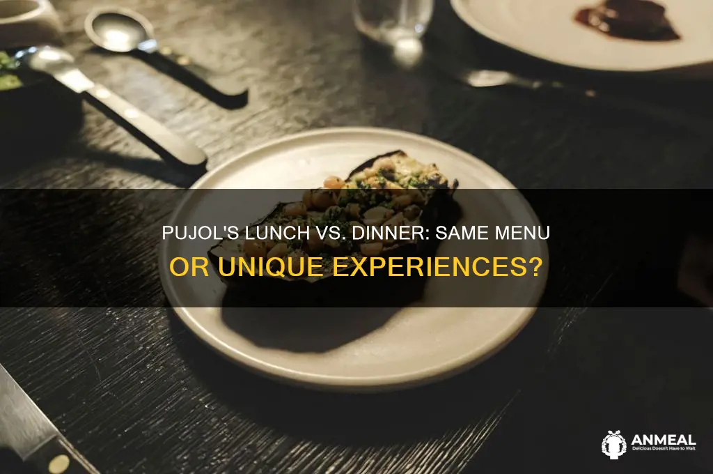 is pujol lunch and dinner the same