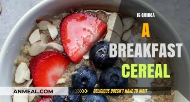 Quinoa for Breakfast: Cereal Alternative or Nutritious Morning Boost?