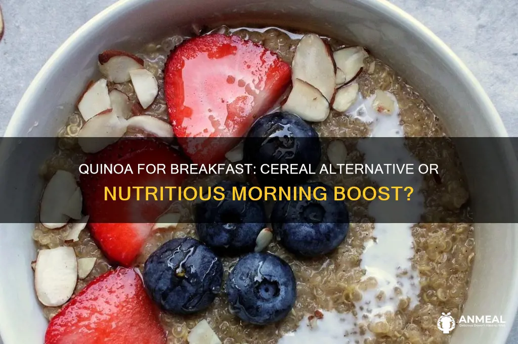 is quinoa a breakfast cereal