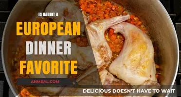Rabbit on the Menu: A European Culinary Tradition Explored