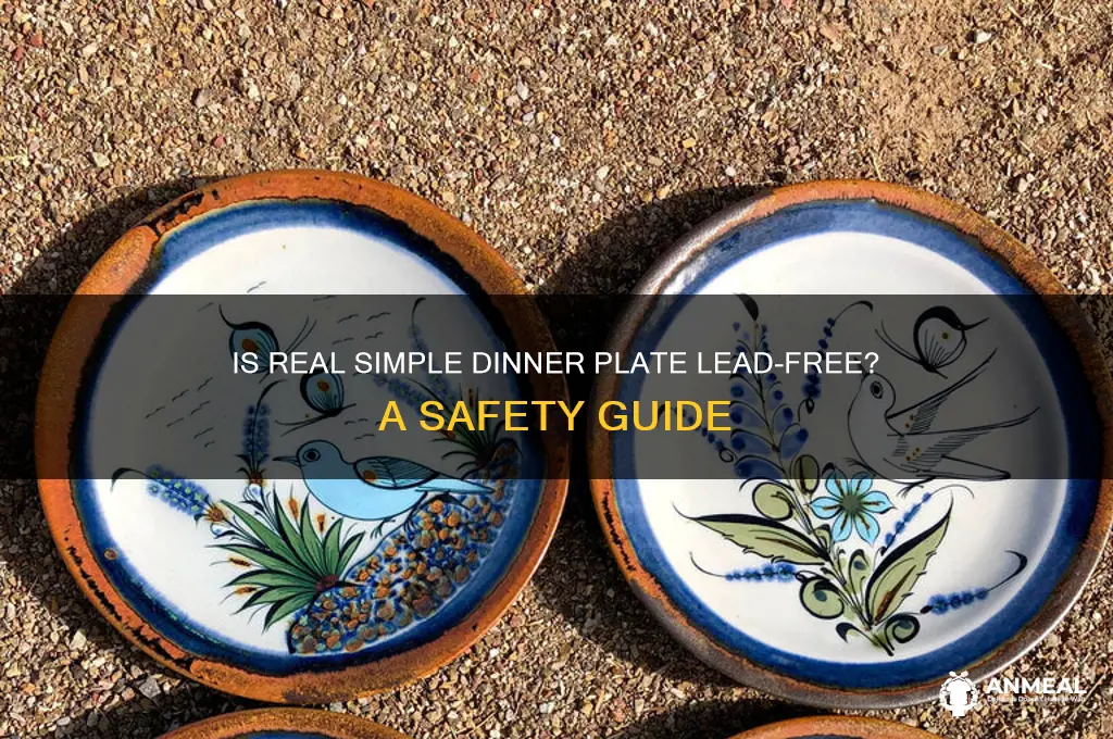 is realsimple dinner plate lead free