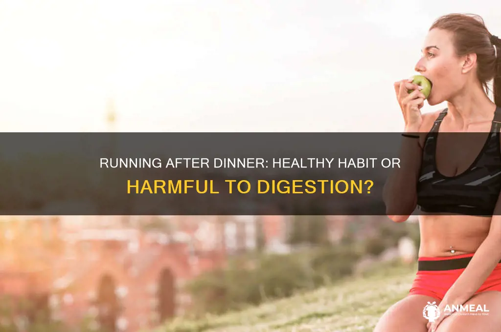 is running after dinner bad