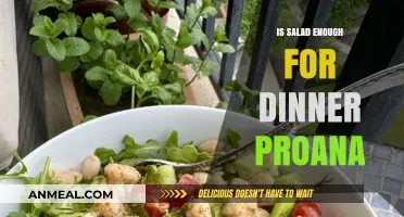 Is Salad Enough for Dinner? Debunking Pro-Ana Myths and Promoting Balance