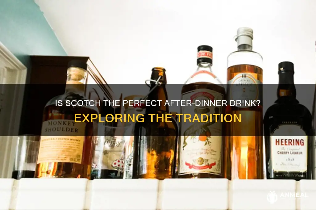 is scotch drunk after dinner drink