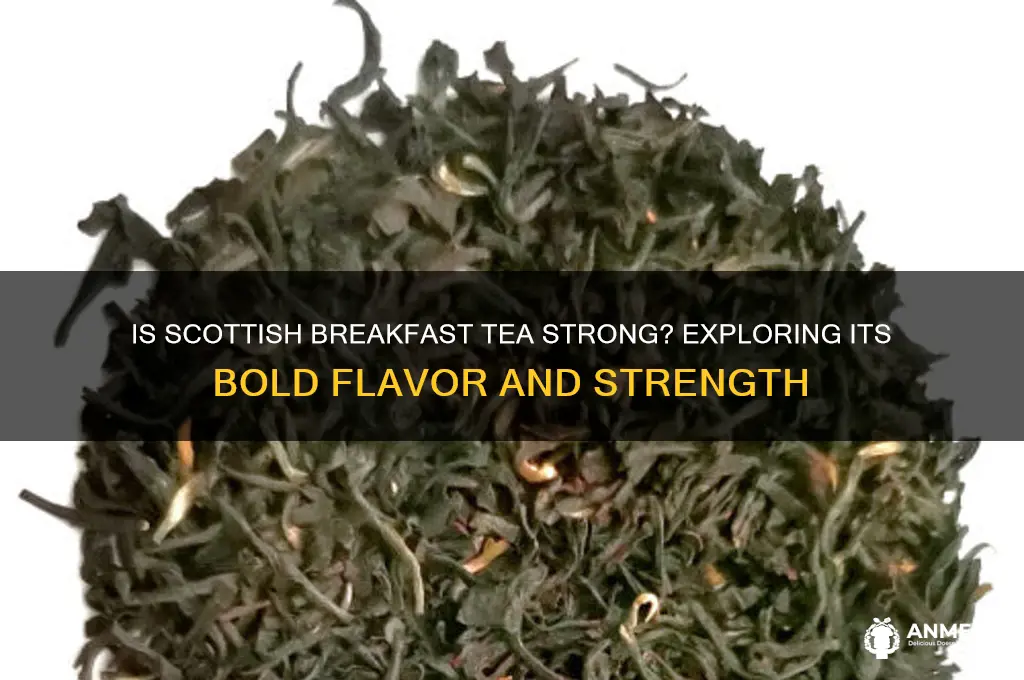 is scottish breakfast tea strong