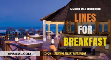 Secret Wild Orchid Breakfast: Worth the Long Wait?
