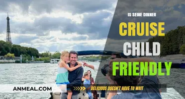 Seine Dinner Cruise: A Family-Friendly Parisian Experience?