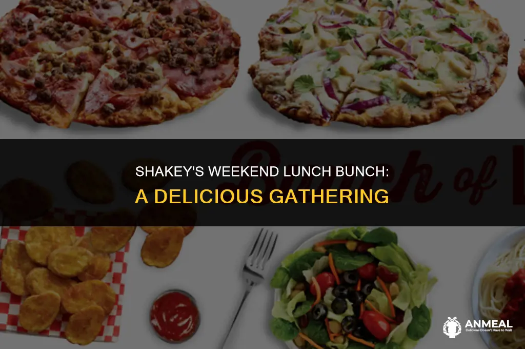 is shakey