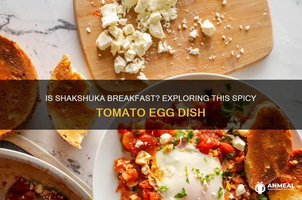 is shakshuka a breakfast dish