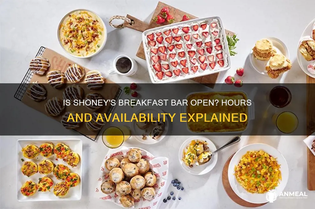 is shoney
