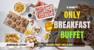 Shoney's Breakfast Buffet: Exploring Menu Options Beyond Morning Meals