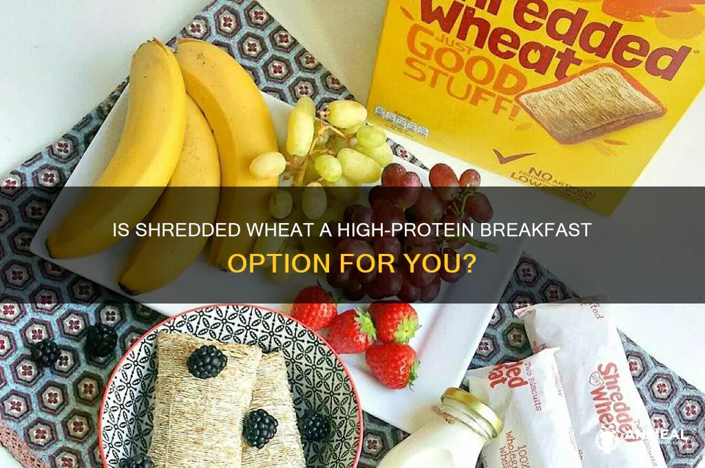 is shredded wheat a high protein breakfast