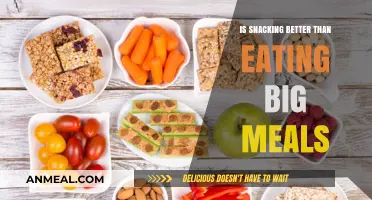 Snacking vs. Big Meals: Which Eating Style Is Healthier?