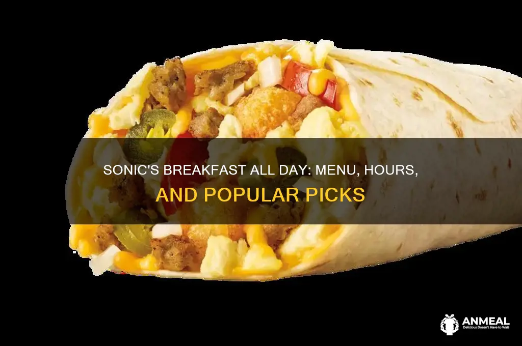 is sonic