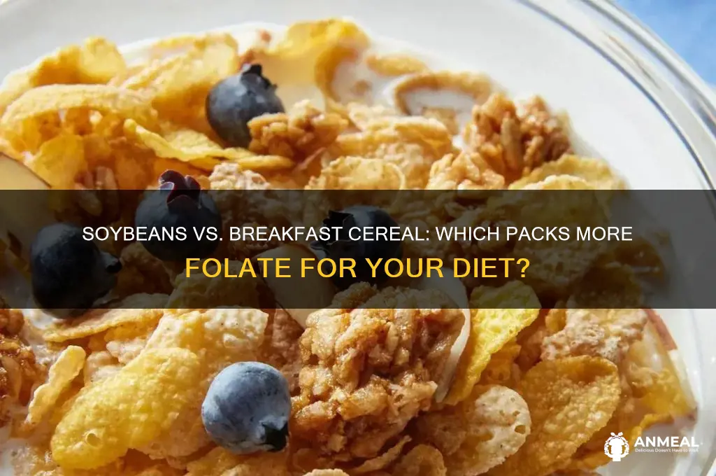 is soybeans or breakfast cereal have more folate