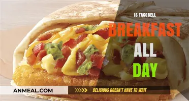 Does Taco Bell Serve Breakfast All Day? Menu Hours Explained