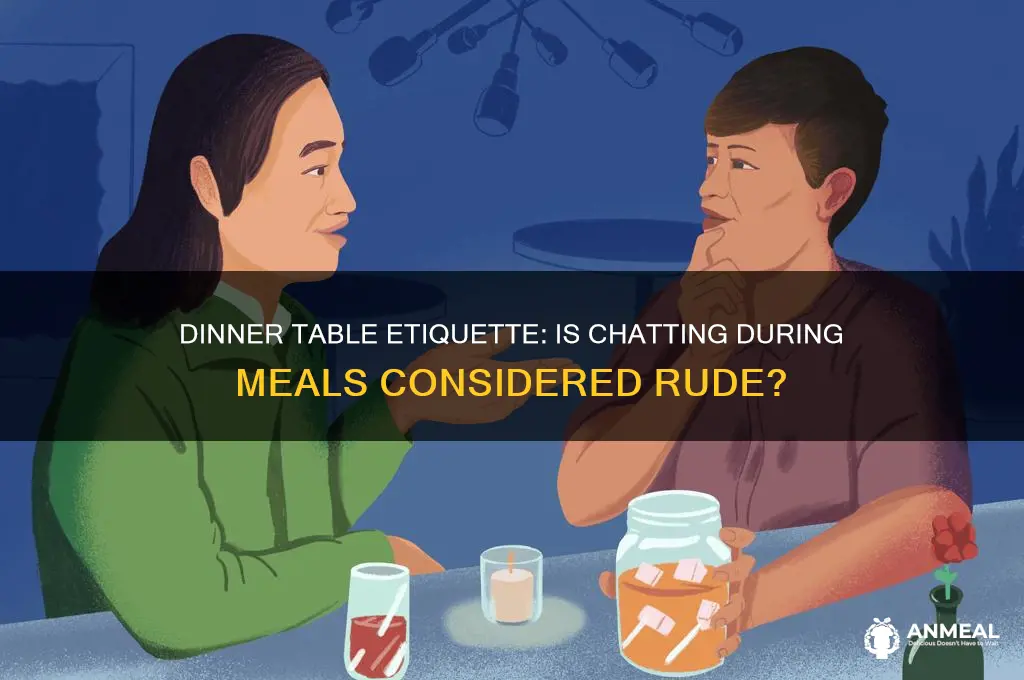 is talking at the dinner table rude