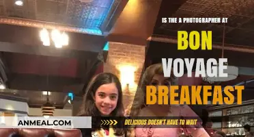 Bon Voyage Breakfast: Photographer Presence and Event Highlights Explored