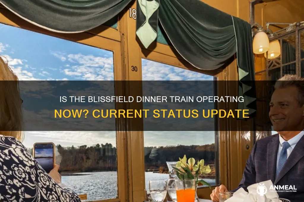 is the blissfield dinner train running currently