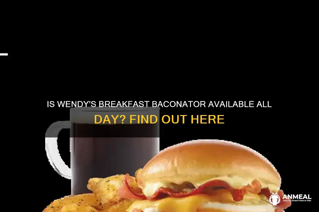 is the breakfast baconator all day