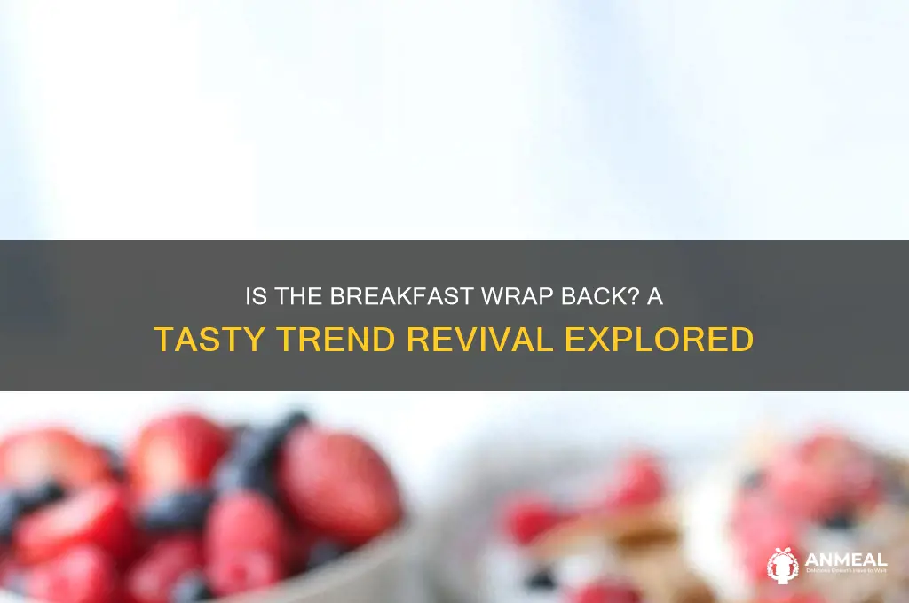 is the breakfast wrap back
