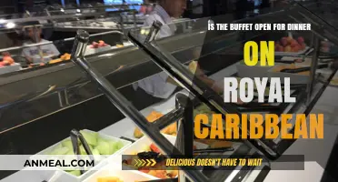 Royal Caribbean Buffet Dinner Hours: Is It Open for Evening Dining?