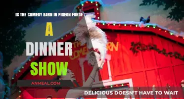 Comedy Barn Pigeon Forge: Dinner Show or Just Laughs?