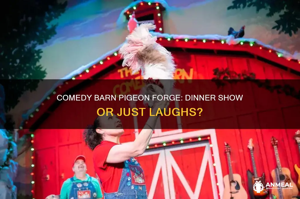 is the comedy barn in pigeon forge a dinner show