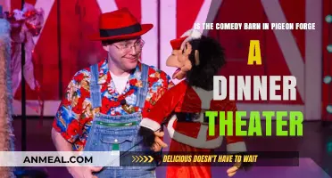 Comedy Barn Pigeon Forge: Dinner Theater Experience or Just Laughs?