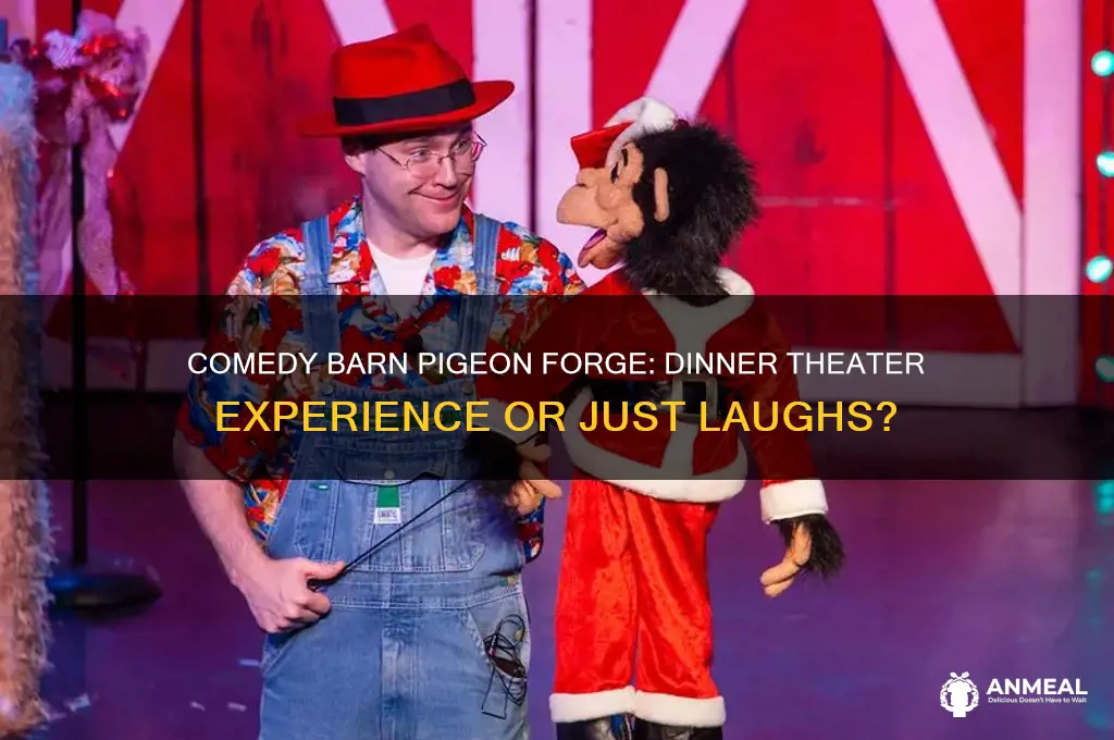 is the comedy barn in pigeon forge a dinner theater