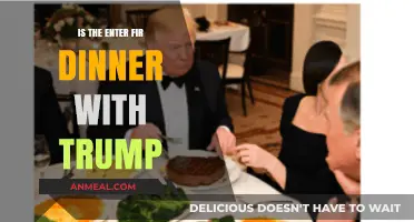Dining with Trump: Unraveling the Enter for Dinner Controversy