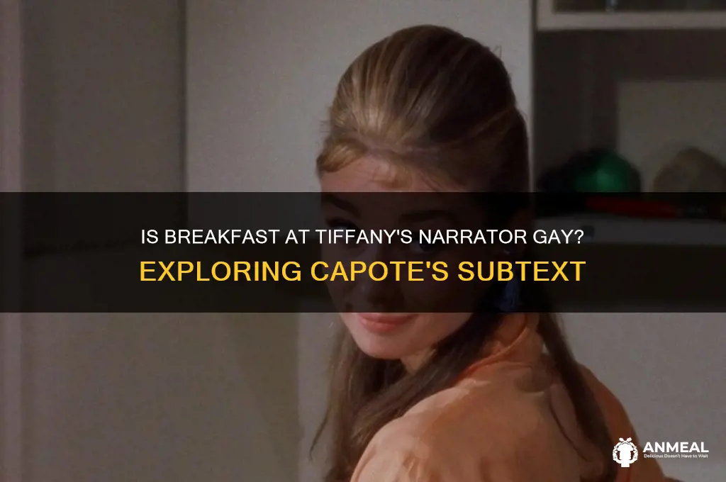 is the narrator in breakfast at tiffany gay