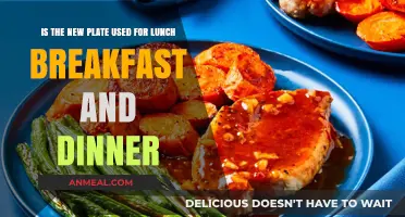 One Plate for All Meals: Breakfast, Lunch, and Dinner?