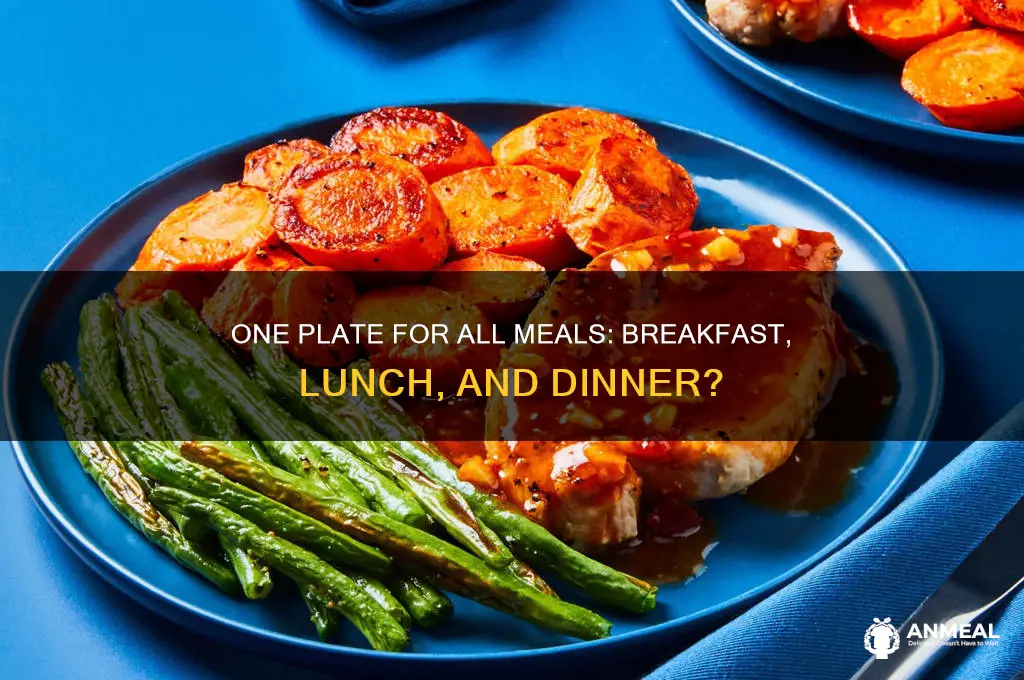 is the new plate used for lunch breakfast and dinner