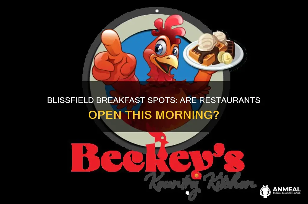 is the restaurants open for breakfast in blissfield this morning