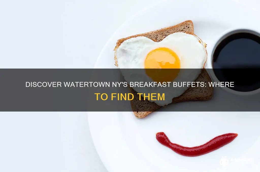 is there a breakfast buffet anywheres in watertown ny