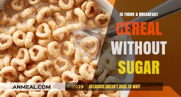 Unsweetened Cereal Options: Discovering Sugar-Free Breakfast Choices for Healthier Mornings