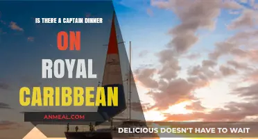 Royal Caribbean Captain's Dinner: What to Expect on Your Cruise